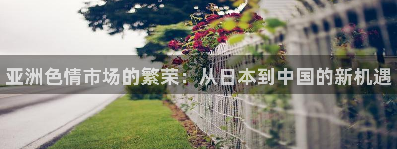 竞技宝是正规的吗搜索哈哈电竞