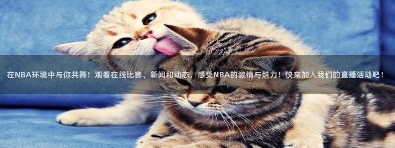 火凤直播体育