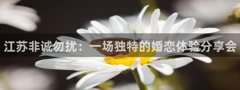 火凤直播体育