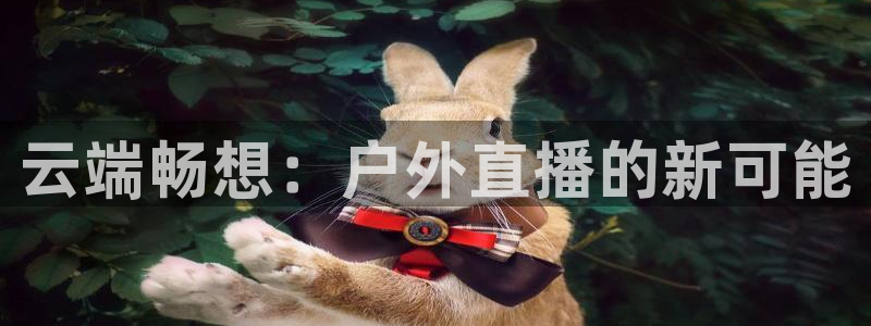火凤足球直播免费观看全部