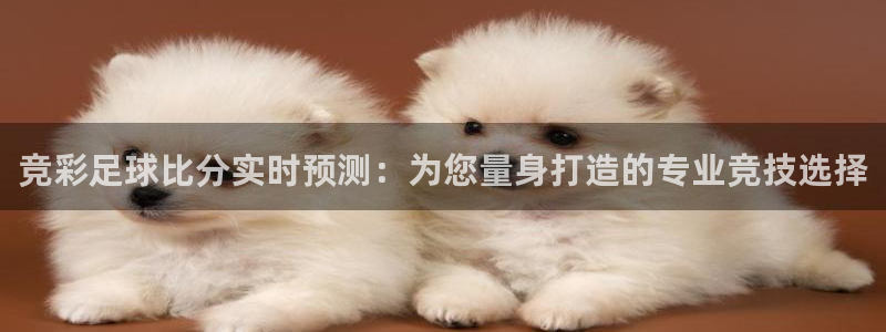火凤体育直播在线观看高清：竞彩足球比分实时预测：为您量身打造的专业竞技选择