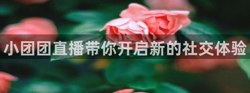火凤直播体育直播最新赛程：小团团直播带你开启新的社交体验