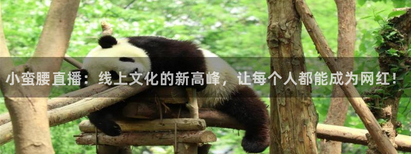 火凤体育nba直播：小蛮腰直播：线上文化的新高峰，让每个人都能成为网红！