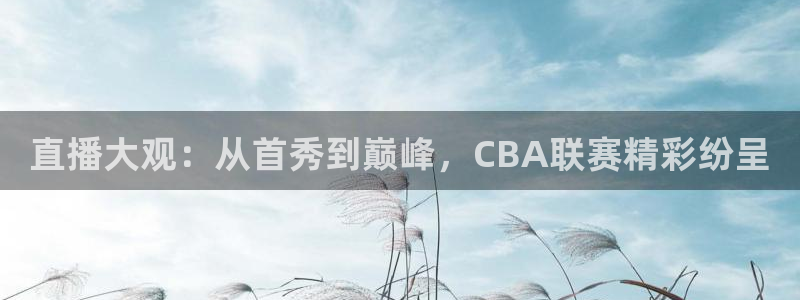 火凤体育直播在线观看高清：直播大观：从首秀到巅峰，CBA联赛精彩纷呈