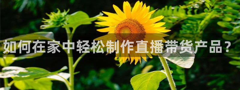 火凤体育nba直播：如何在家中轻松制作直播带货产品？
