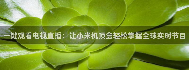 火凤直播体育免费直播：一键观看电视直播：让小米机顶盒轻松掌握全球实时节目