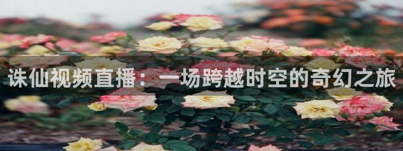 火凤直播：诛仙视频直播：一场跨越时空的奇幻之旅