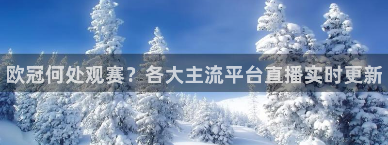 火凤足球直播在线观看：欧冠何处观赛？各大主流平台直播实时更新